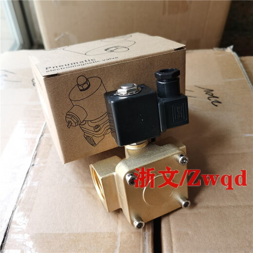 Solenoid valve Best-Nr.0200 DC24V AC220V 0927200 Normally closed diaphragm water valve air valve oil valve DC24V