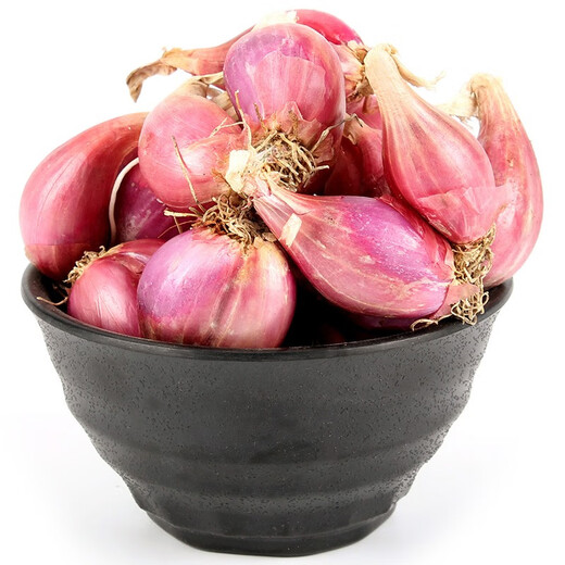Authentic shallot seedlings, Guangdong shallots, commercial Fujian southern onion seeds, local wild four-season chive seeds, four shallots, Jin Jin, equal to 0.5 kg, free fertilizer in the favorite store