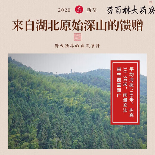 [Vendido directamente en la farmacia] Renhe Pharmaceutical Renhe Qingqianliu Té No Wild tierna Brote Té de té Presión de precipitación baja grasa baja azúcar Alta presión arterial se puede usar para dar regalos para el burdock de maíz calamar hojas té té cinco cajas de consolidación de consolidación