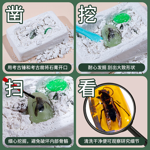 Jingjia Excavación arqueológica para niños Toy Fósil Fósiles Amber Insecto Elf Caja ciega Boy y niña Gema Hecha Gema Tesoro Aleatorio 2 Cajas de Insectos Cristal Arqueología Enviar Lanyard Random