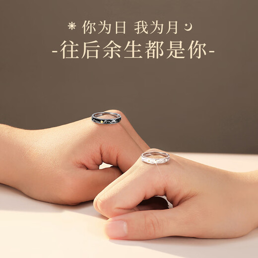 Dirholl (Dirholl) PT950 platinum morning and evening couple's ring, light luxury niche ring 520 Valentine's Day gift for girlfriend and wife, light luxury style - morning and evening ring, no engraving