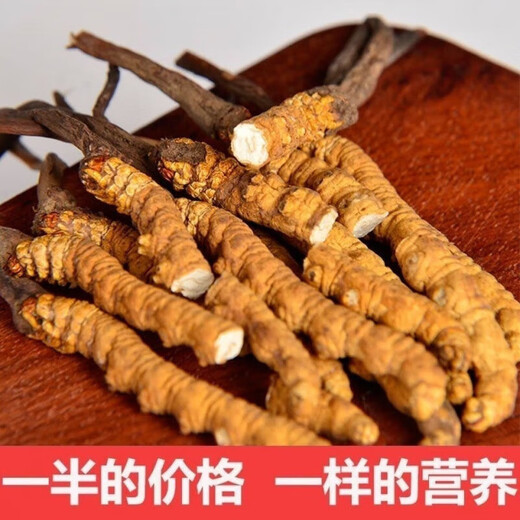 
Beijing Tongrentang [Black Friday] Cordyceps sinensis cordyceps sinensis Ganzifeiqu nourishing and health products - 8 grams [No gift]