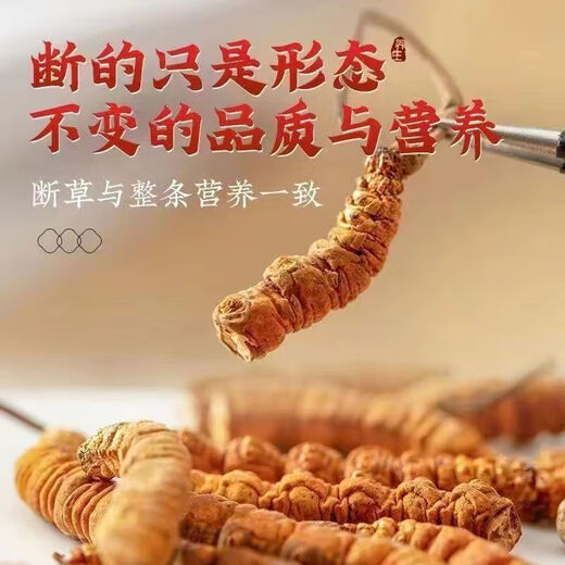 Eryabe [Official Store Special][Zhengpin] Authentic Cordyceps sinensis (Specifications 2-3 roots/gram) Buy more and get more. Zhenpin Cordyceps sinensis About 4 roots/gram 1 root price [Book more and get more and get more]