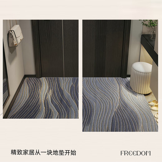 Hazar HAZARD entrance door floor mat [Falman Velvet] feel the foot mat at the entrance door is anti-slip, dirty, and free wash mat for entrance. Jingbo-vertical version 15926 100CM*120CM