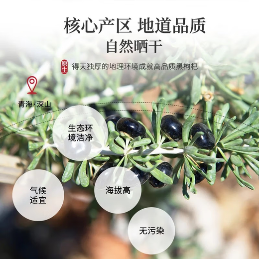 陈一凡 黑枸杞 精选青海柴达木原产枸杞子中果免洗搭桑葚泡水养生茶120g