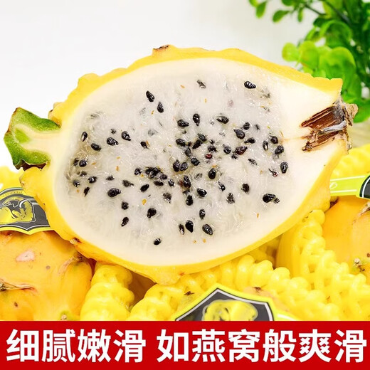 优味集【JD顺丰包邮】海南燕窝果熟麒麟果孕妇生鲜黄色火龙果送礼好果 1050g净重装（颗颗精选） 商超级精选单果95g+