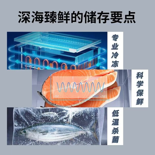 Midea 201 liters 301 liters freezer commercial large capacity ultra-low temperature freezer minus -60 degrees -70 degrees energy saving electronic temperature control cryogenic quick freezing freezer refrigerator stainless steel liner computer temperature control -70 exclusive for high-end ingredients 201 liters