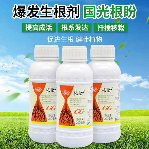 Guoguang Guoguang Genpan Indole Butyric Acid Naphthalene Acetic Acid Plant Rooting Agent Cuttings and Transplanted Flower Seedlings Explosive Rooting Liquid 200ml/Bottle