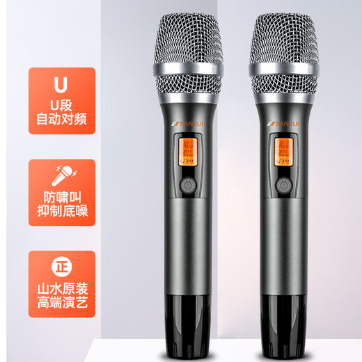 山水（SANSUI）PK09专业ktv音响K歌 会议 大功率家用家庭电视卡拉OK套装 家庭环绕影院电视重低音炮K歌音响 山水PK09+功放+美声话筒+2T点歌机