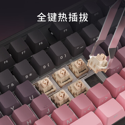 黑爵（AJAZZ）AK870PLUS三模热插拔机械键盘 Gasket结构五层填充全键热插拔RGB下灯位电竞游戏高颜值TTC烈焰红V2 渐变侧刻粉-飞鱼轴-4000mAh三模无屏