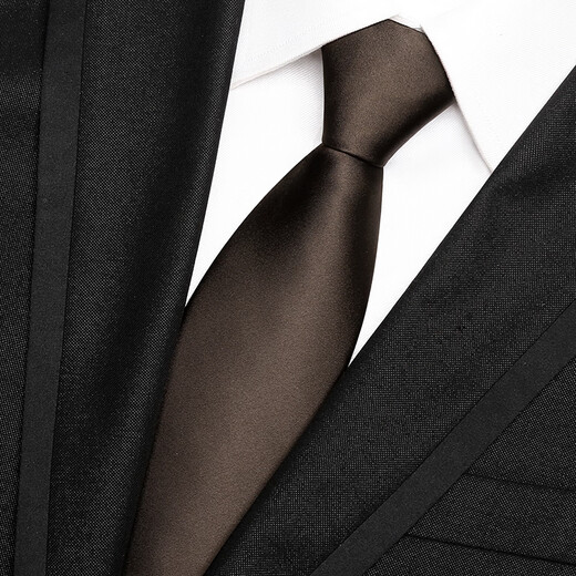 LSIAKT领带男士复古咖啡棕色系正装职业休闲宴会拉链领带男商务 咖啡色【拉链款领带+领带夹】