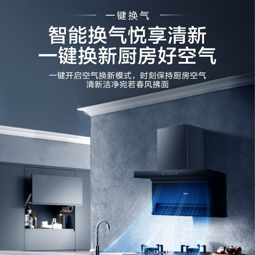 海尔抽油烟机30立方大吸力家用顶侧双吸油烟机燃气灶具炉灶套装厨房三件套一级能效以旧换新Leader 【450】25m³大吸力单烟机