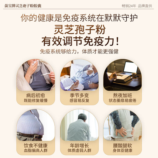 佳尔科菌宝牌灵芝孢子粉胶囊中老年增强免疫力送礼送长辈 60粒/瓶 季套餐（进阶免疫 增强体质）