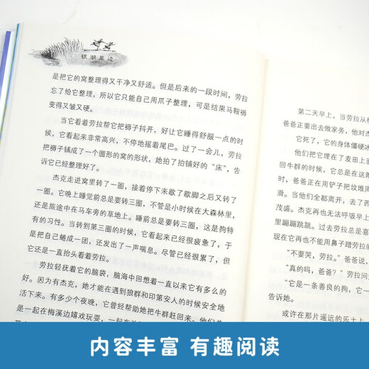 纽伯瑞儿童文学奖银奖文学系列 第二辑全9册国际大奖小说世界经典文学名著青少年课外阅读儿童文学书目1428**05[美]安妮*帕里希，等南方出版社