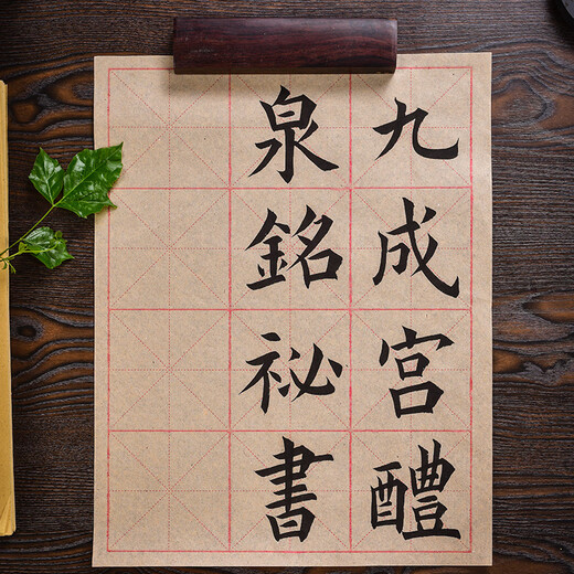 Anhui Xiang thick rice grid rough edge paper half-baked semi-cooked seal script brush calligraphy bamboo pulp paper beginners grid Yuan calligraphy paper Sichuan Jiajiang wholesale calligraphy practice special manual practice paper 6cm 12 grid 50 sheets no gifts