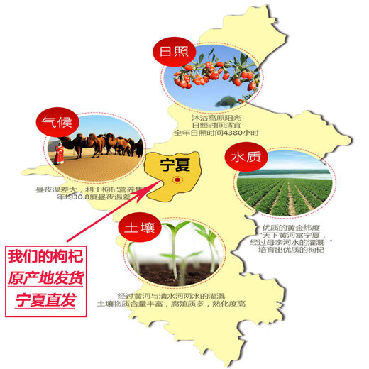 新货枸杞500g正宗中宁红枸杞宁夏苟枸杞子袋装大粒红构纪干泡茶水 【3斤】新货枸杞500克-3袋 中大果
