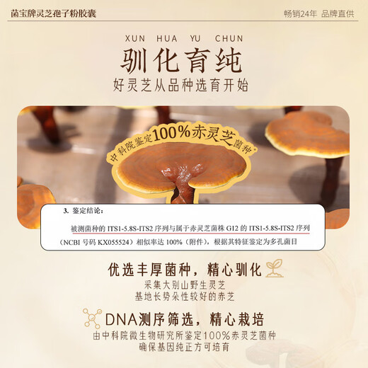 佳尔科菌宝牌灵芝孢子粉胶囊中老年增强免疫力送礼送长辈 60粒/瓶 季套餐（进阶免疫 增强体质）