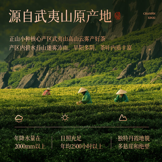 正山小种红茶正宗武夷山桐木关花香600g罐装大份量口粮茶叶 中秋送礼
