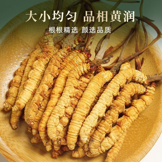 北京同仁堂官方店旗舰【送礼必看】虫草正宗干货冬虫夏草2024年高档礼盒装 2根/克 完整草【20克装】送两根