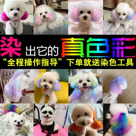 OIMG Dog Hair Dye Special for Pets White Bichon Teddy Animal Cat Dye Hair Cream Pomeranian Supplies Super Fairy Purple (Lavender) 60g With Tools
