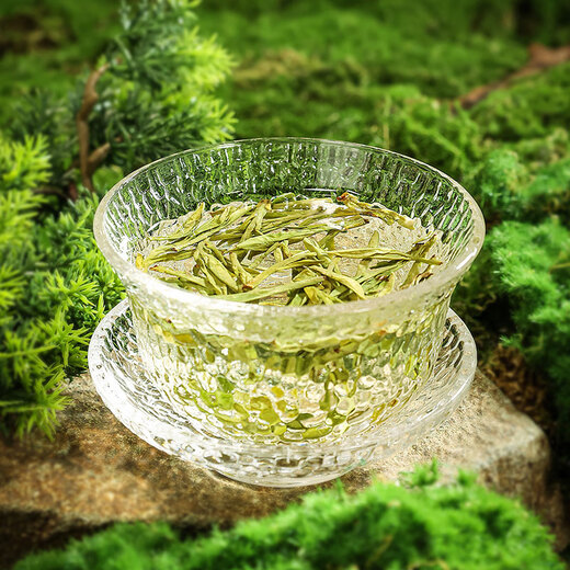 西湖牌2025新茶上市绿茶龙井茶叶明前特级250g礼盒春茶高端午节日送礼