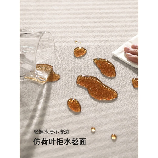 天津崔黄口地毯客厅感2024轻奢沙发地垫免洗可擦家用防水 清蔷13566 160cm*230cm耐磨耐刮蹭
