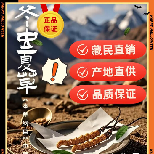 正宗藏区虫草冬虫夏草精选雪山虫草头期虫草干货泡酒煲汤料年货礼 西藏那曲3条/克虫草50条礼盒装