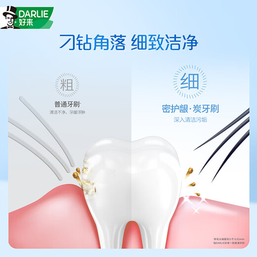 好来（DARLIE）(原黑人)密护龈·炭软毛牙刷进口炭丝抗菌清洁护龈 2支装新旧包装