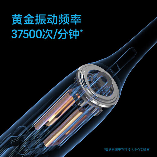 FLYCO Adult Electric Toothbrush Symphony Series Couple Model Intelligent Sonic Vibration Deep Cleaning Gum Protection Soft Brush Brush for Boy and Girl Birthday Chinese Valentine's Day Gift FT7105 FT7105 Romantic Powder with 4 Brush Heads