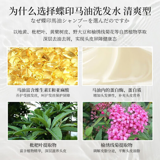 Marque imprimée papillon d'origine importée au Japon, shampooing rafraîchissant à l'huile contrôlée à l'huile sans maîtrise en silicone, type 600 ml