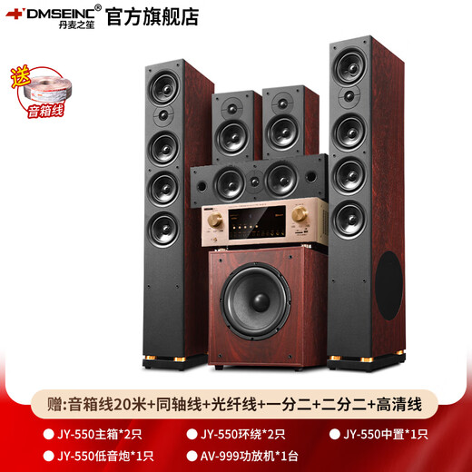丹麦之笙（DMSEINC） JY-550家庭影院音响 5.1声道无源落地式客厅音响 家用环绕音响 家庭ktv组合低音炮带功放 套餐三：5.1声道+999功放【专业版】店家推荐