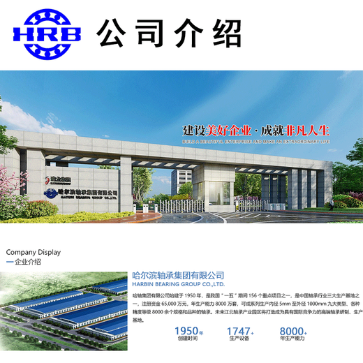 Roulements 6215 6216 6217 6218 6219 - ZZ 2RZ HRB Harbin Shaft Group 6215-2