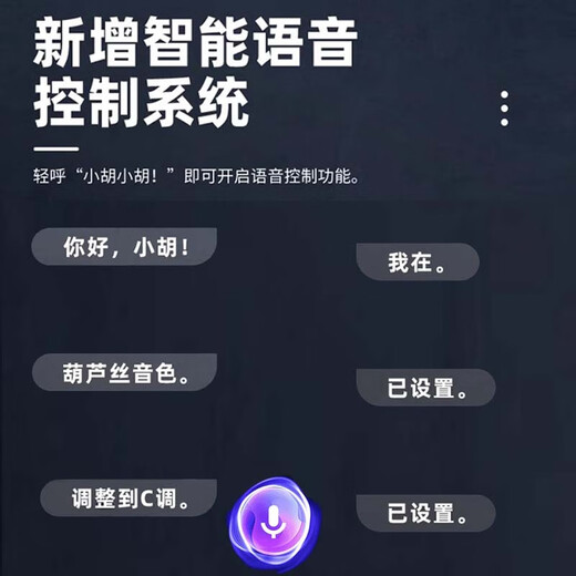 十里清波华夏之韵电葫芦丝乐器国产电子葫芦丝吹管电子笛电萨初学者定制款 红木色标配