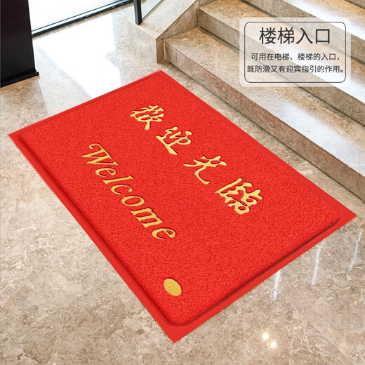Cuttlefish welcome to the entrance door floor mat carpet wire ring dust removal anti-slip outdoor door mat 80*120cm