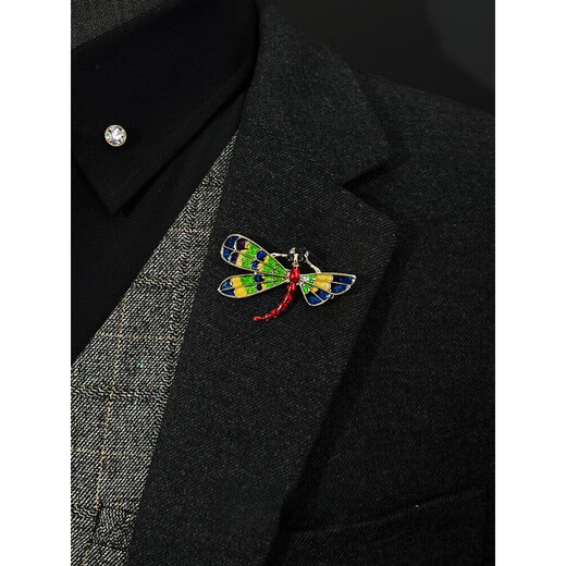 Shijun (SHIJUN) Chinese style glaze color brooch, exquisite enamel color dragonfly men's suit jacket, bird corsage handmade accessories, bee