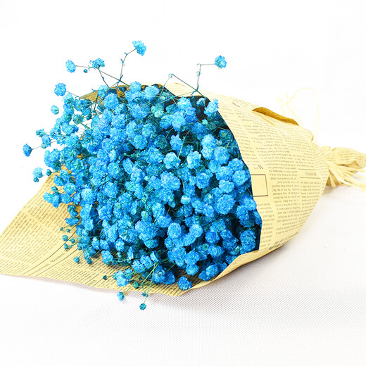 AIMAN Букет из гипсофилы из сушеных цветов Юньнань Натуральный сушеный подарок на день рождения DIY Украшение для гостиной Домашняя мебель Настоящие сухоцветы Белый + синий Смешанная гипсофила с газетой + лентой