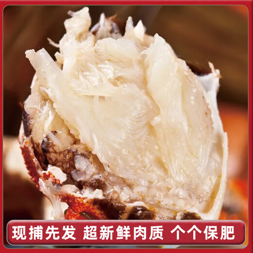 [Living Crab] Net bag crabs extra large Liaoning Panjin River Crab Rice Field River Crab Gift Box Fresh Live Crab Fresh Live Crabs, remove rope net weight male and female 1.2-1.4 taels 10 pairs 20 pieces