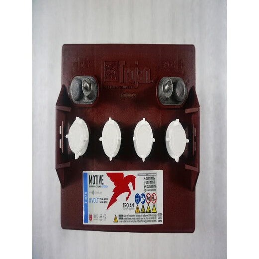 Trojan Qiu Jian battery T-105/T-125/T-145/T-875/T-1275PLUS lead-acid battery T105PLUS (6V225AH)