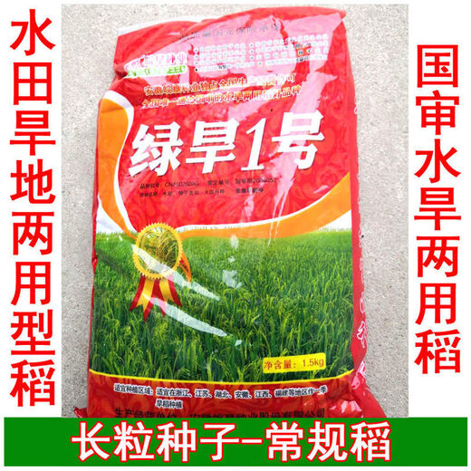 Семена горного риса Чжэнхань № 10. Урожайность с одного му Цзинь Цзинь равна 0,5 килограмма Рис Индика Луодао 998. Семена риса рис прямого посева обычный рис Чжэнхань № 10 500 грамм.