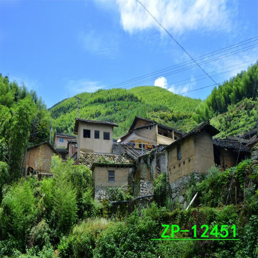 CLCEY农村背景布乡村怀旧网红主播直播背景布3d立体直播间挂布田野丰收 ZP-15253 2.5米宽+2.5米高 (挂钩)