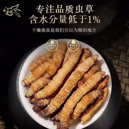 Eryabe [Official Store Special][Zhengpin] Authentic Cordyceps sinensis (Specifications 2-3 roots/gram) Buy more and get more. Zhenpin Cordyceps sinensis About 4 roots/gram 1 root price [Book more and get more and get more]