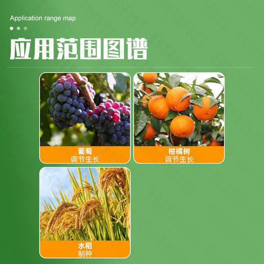 Guoguang Dingyue gibberellin 920 gibberellic acid grape germination and earing citrus growth regulator for flower and fruit preservation 50 50ml*1 bottle