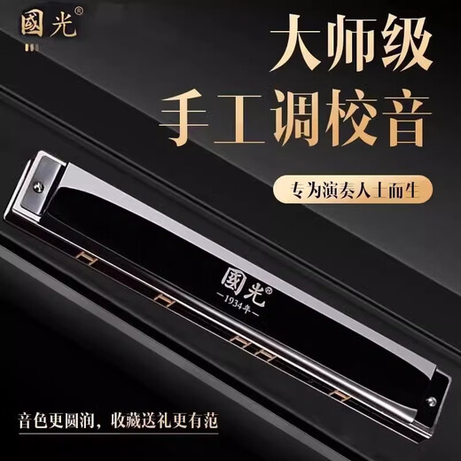 国光德国进口音簧国光口琴专业演奏级28孔高级成人初学者24孔复音c调 【进口音簧】哑光黑28孔重音C调