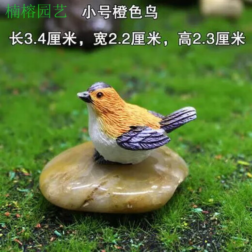 Phoebe gardening micro-landscape ornaments bird resin crafts cute simulated bird's nest gardening bonsai decorative bird eggs medium orange bird