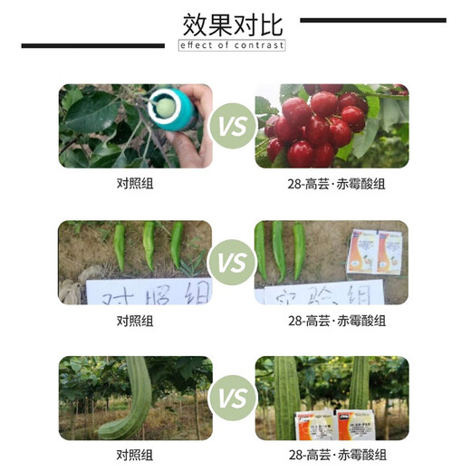 Weidiguohaomai 28-high brassica gibberellic acid A4+A7 promotes stem elongation and fruit growth plant growth regulator 500ml
