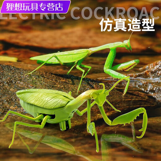 Shantoulin Village Пульт дистанционного управления Mantis Electric Toy Scrank Artifact Tockroach Boy движется к паукам
