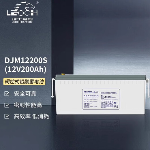 LEOCH理士蓄电池DJM12250S铅酸免维护12V250AH铁塔基站储能UPS通讯系统 DJM12250S（12V250AH） 12 40天 