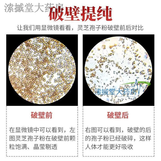 
ShiFang (ShiFang) Blue-cap Broken Wall Ganoderma lucidum spore powder high in Ganoderma lucidum triterpenes 1g/bag * 100 bags Parental tonic products Broken Wall Ganoderma lucidum spores (1 large box 100 bags)