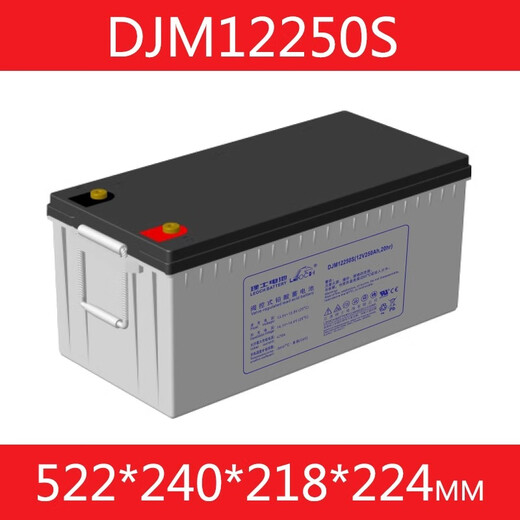 LEOCH理士蓄电池DJM12250S铅酸免维护12V250AH铁塔基站储能UPS通讯系统 DJM12250S（12V250AH） 12 40天 