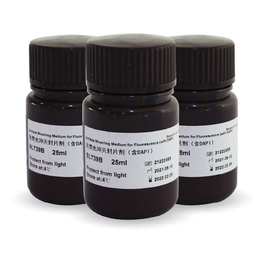 El agente de montaje de extinción antifluorescencia BIOSHARP BL739A/B (que contiene DAPI) se utiliza para el etiquetado nuclear y el montaje de muestras BL739B (25 ml/botella)
